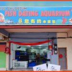 kedai aquarium teluk intan fish dating aquarium