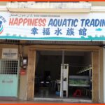 kedai aquarium kuantan happiness aquatic trading