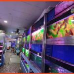 kedai aquarium batu pahat xian leng aquatic merchant sdn bhd