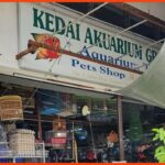 kedai aquarium gombak greenwood aquarium & petshop
