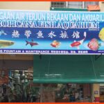 kedai aquarium kajang tropicana fish aquarium