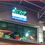 kedai aquarium penang chew thean yeang aquatic & pet