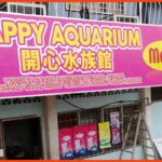 kedai aquarium temerloh happy aquarium