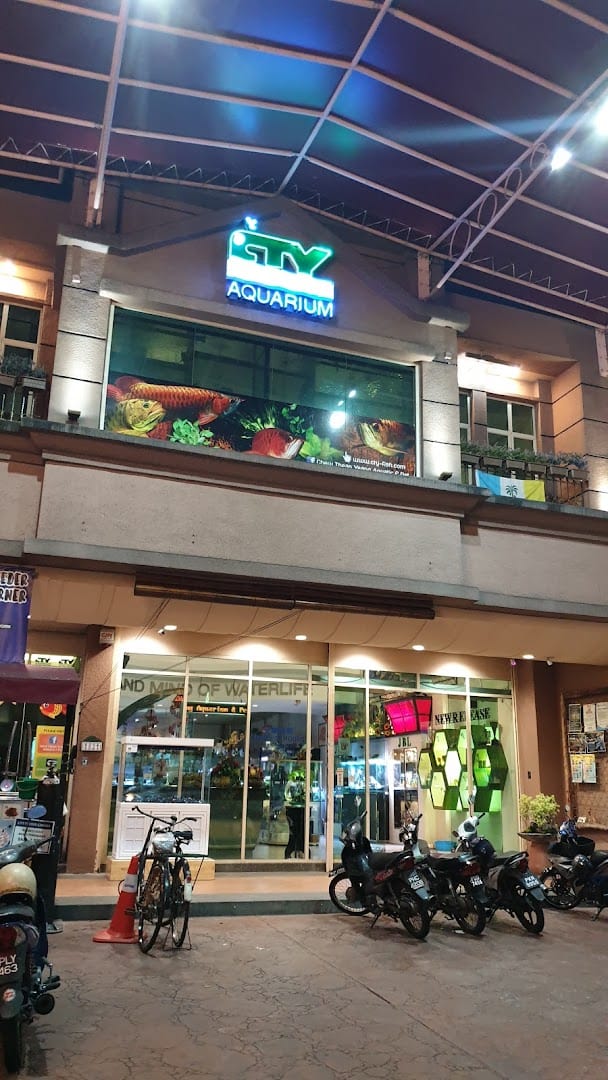 Chew Thean Yeang Aquatic & Pet Kedai Ikan Hias Pulau Pinang