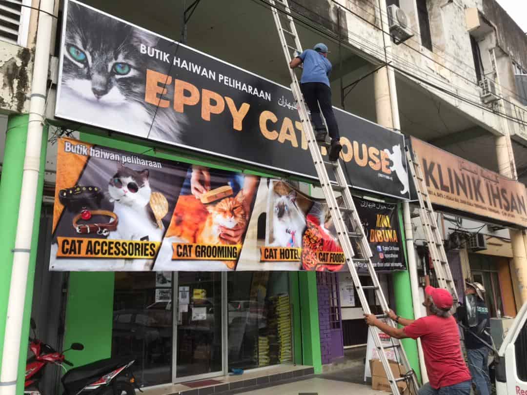 Eppy Cat House (Kuala Ibai) - Pet Shop Kedai Kucing Kedai Haiwan Terengganu